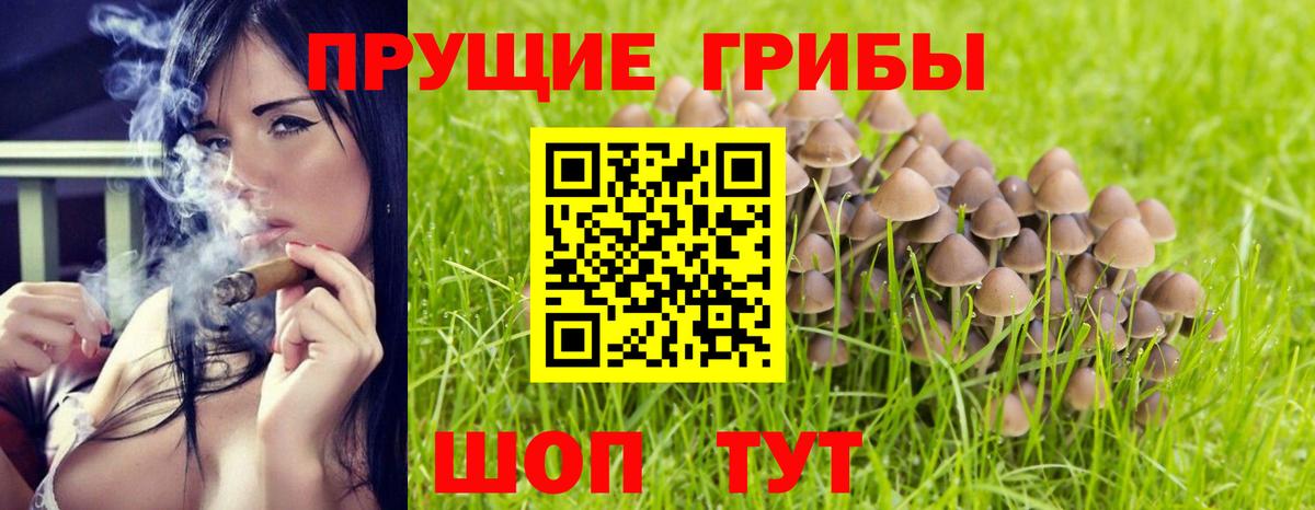 Нефтекамск  Галлюциногенные грибы GOLDEN TEACHER  Вход с VPN  Галлюциногенные грибы Magic Shrooms 